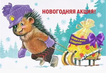 Новогоднее предложение 2025